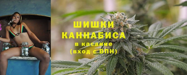 трава Наволоки